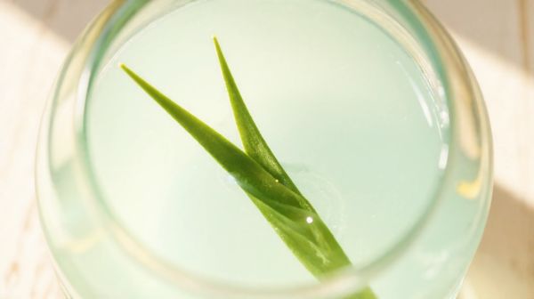 Les avantages incontournables de la pulpe d'aloe vera Forever