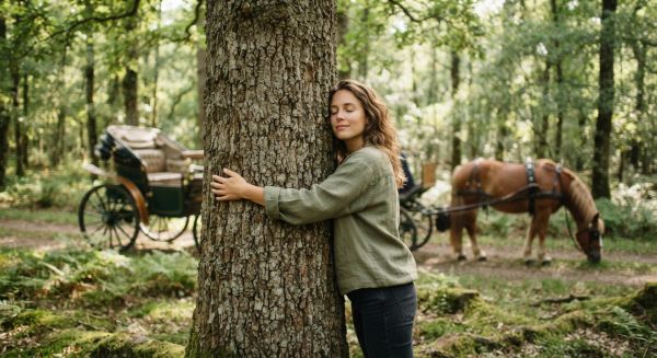 Top 5 raisons pour lesquelles enlacer un arbre calèche le stress